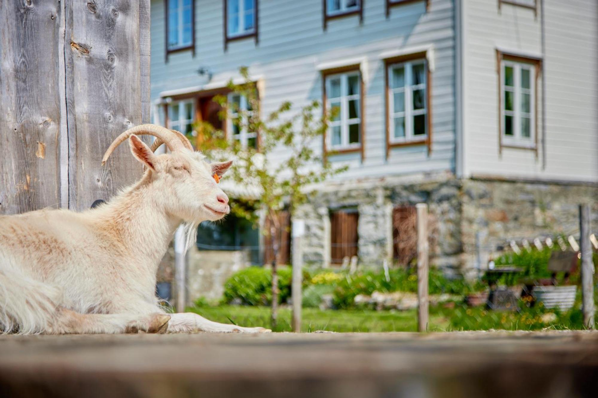 Overvoll Farm Stranda  Εξωτερικό φωτογραφία